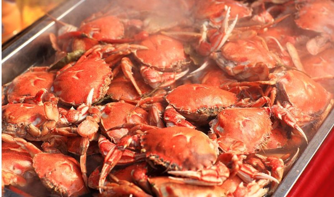 胃结石|秋天多吃柿子身体好，止咳润肺又美容，但3点禁忌应牢记