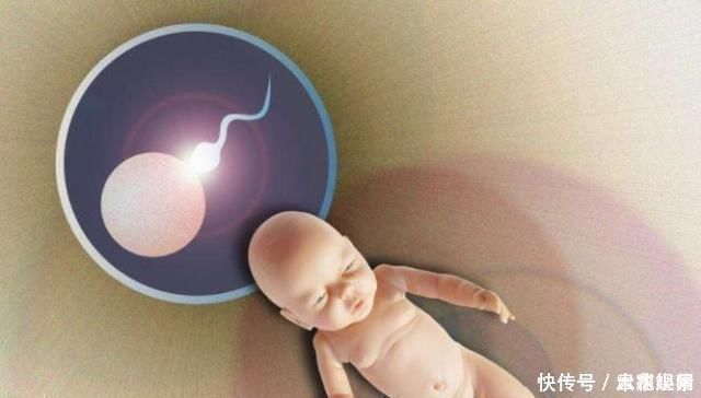 受孕率|男性也有最佳生育年龄,超过这个岁数后,要孩子得考虑清楚