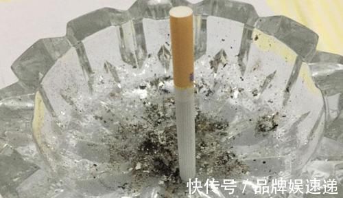 健康长寿|寿命长的人,通常都会有的好习惯,符合的越多,恭喜你越长寿