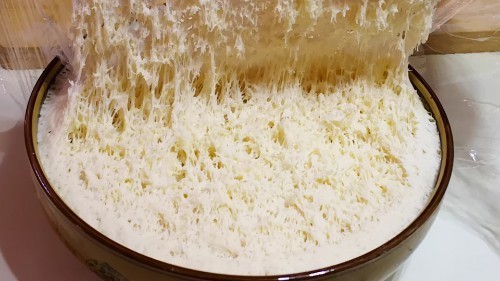 天冷时发面,万万不可直接放酵母,记住1点,1小时发一盆面