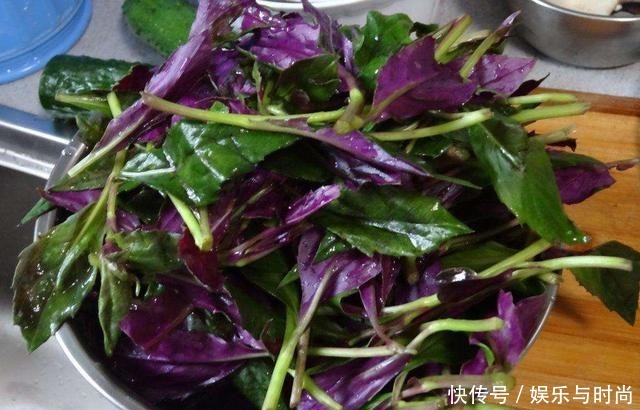 一种“补血菜”,是阳台种菜首选!盆栽上几盆,好看好吃,营养高!