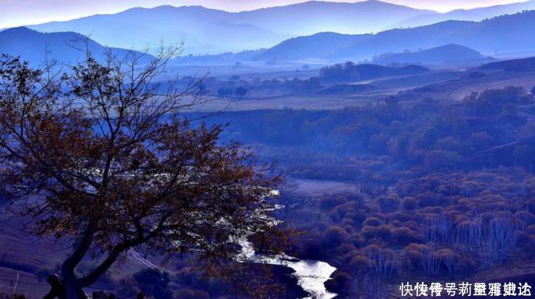 小池|杨万里比较冷门的一首诗，但是同样写得很有趣，值得我们一读再读