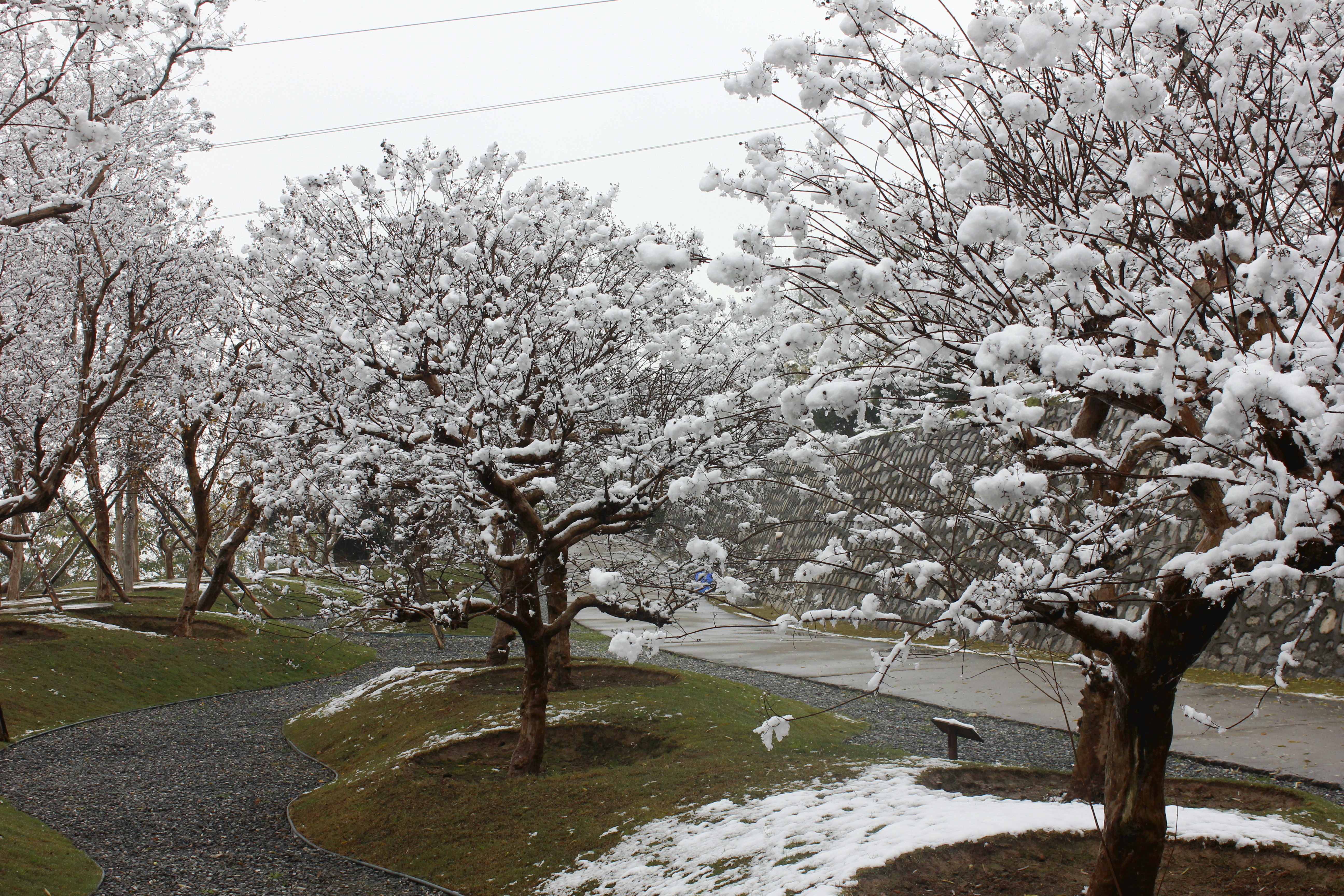 征集|【年末福利征集】雪后南五台幸遇云海