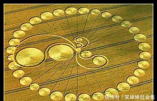 一男子聚会晚归 骑车路过麦田 麦田怪圈真相大白 快资讯