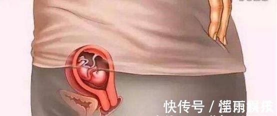怀胎|宝宝是怎么被慢慢孕育出来的,十张过程图,一切来之不易