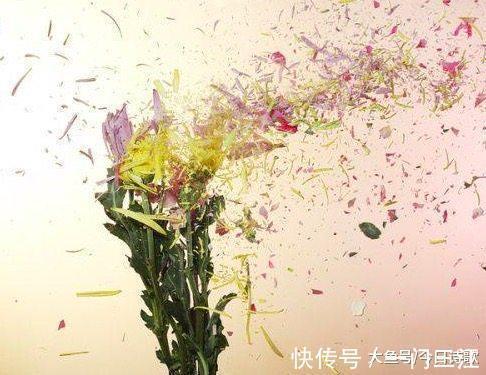 青春年华!杜牧这首有关男女之情的诗, 你真的读懂了吗