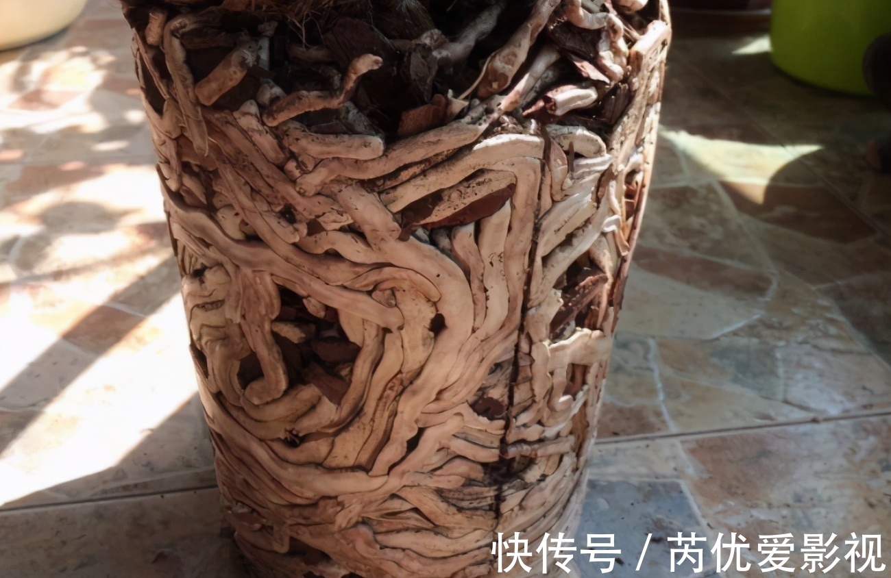 盆栽花谢后就扔掉?太浪费了,这3样“弄一下”年年开花