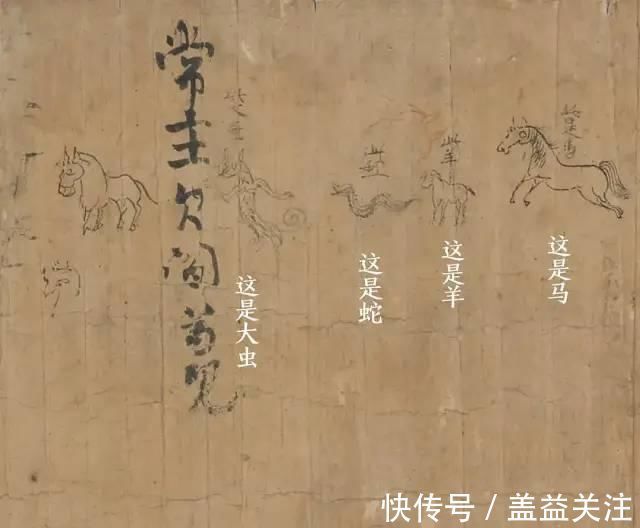 小动物|太萌了，“一千年前小朋友写的字”上了热搜！