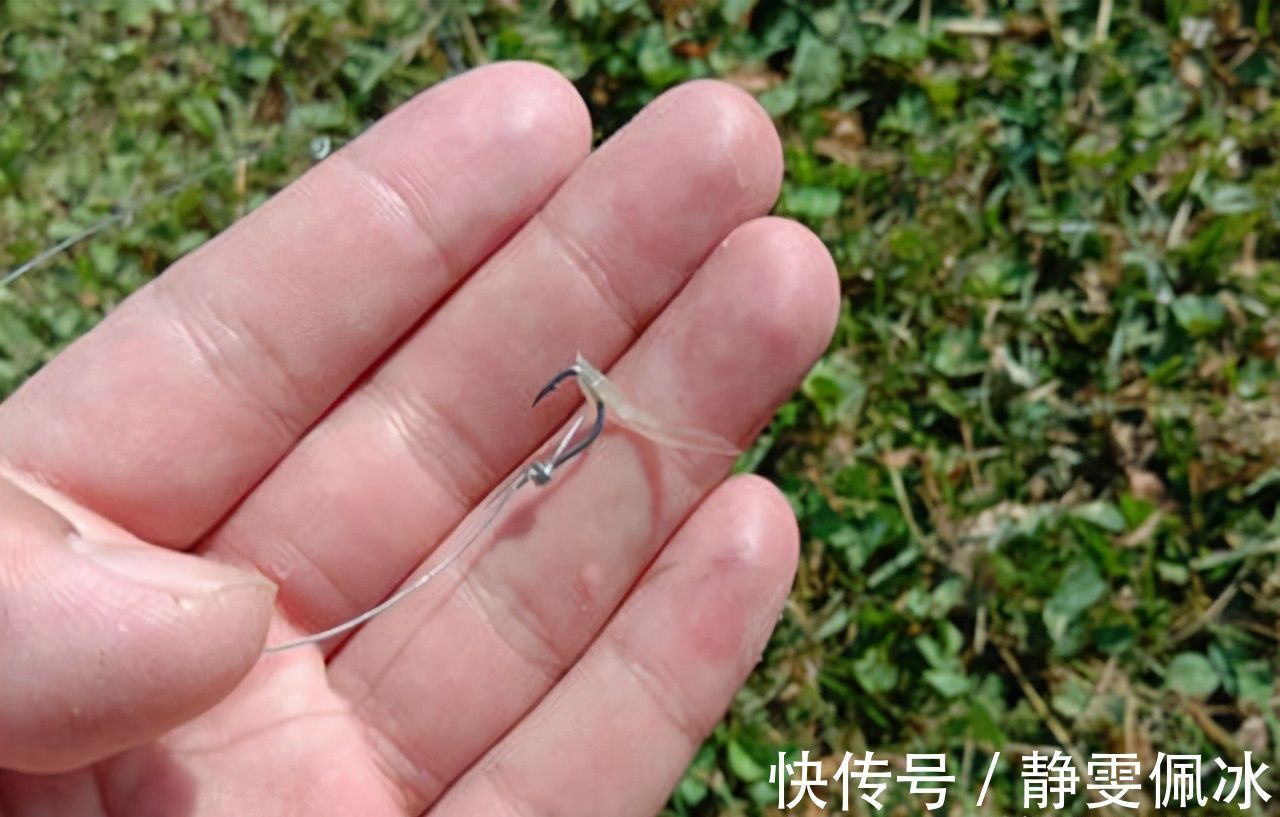 老钓友坦言,冬季钓鱼我只用这三种东西做饵料,鲫鱼一钓一个准