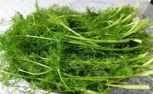  女性|爱美的女性要坚持吃3种食物，去除皱纹、改善体质，早吃早好！