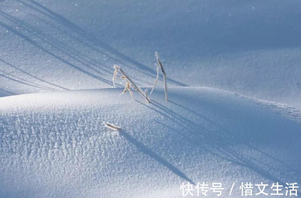 苑中遇雪应制$这10首咏雪诗词，不带一个雪字，却写尽雪之美！