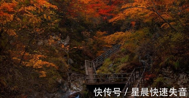 秋夜!七律.秋夜深深墨染空!