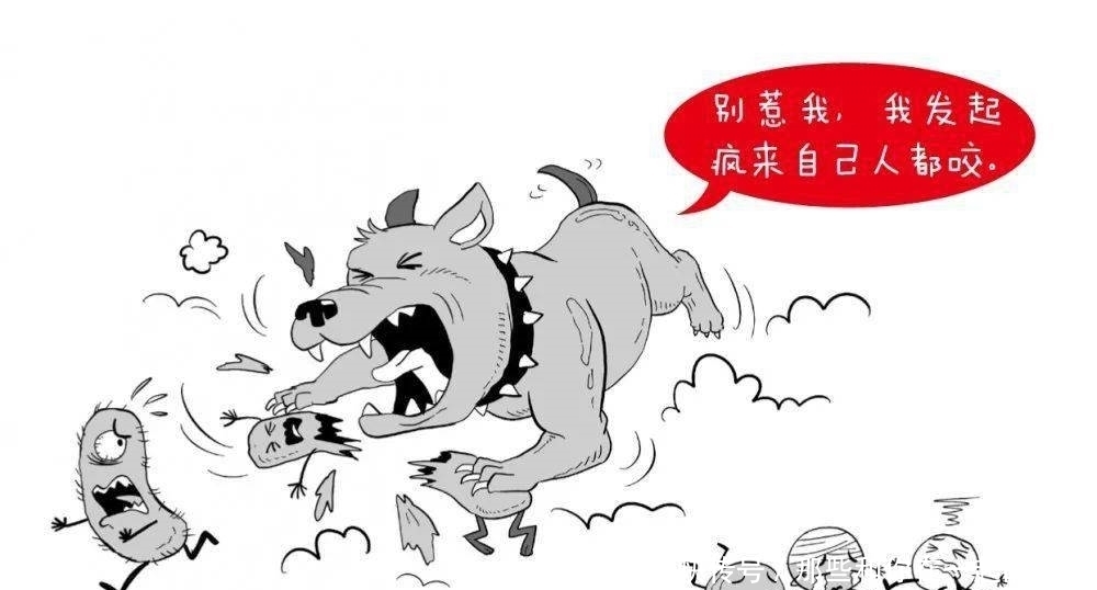 一本让你笑到打鸣的严肃科普书，买它！/《漫画人类与病毒的战争》