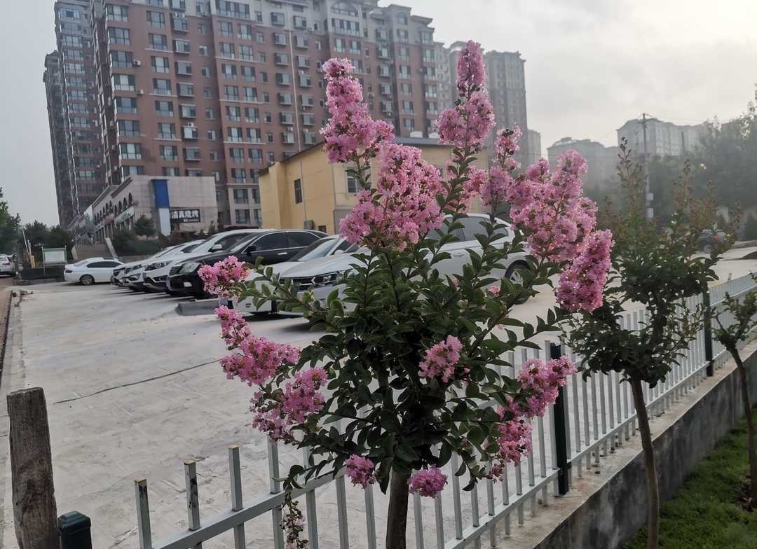 曾国藩:大多数学问来自于生活,应在孝悌上用些功夫