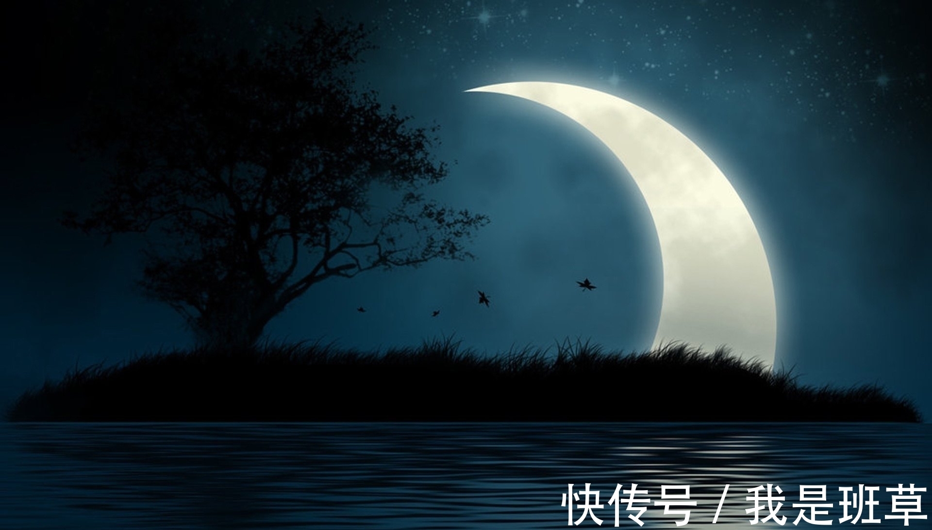 这首诗!纳兰看到如眉新月,触景生情写下一首词,这句最动人