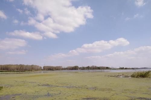 俎豆#考古重大发现,终于探明中华文明的历史源头与文化渊源