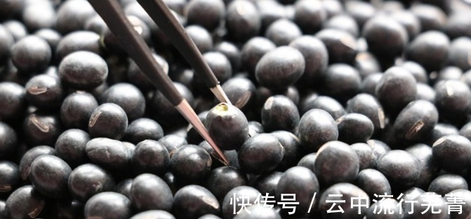 冬天到了,吃黑豆有什么用教你1个简单做法,涨知识了!