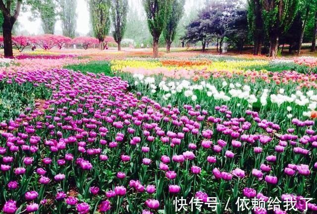 千古绝唱&2首美到飞起的诗词,堪称千古绝唱,值得好好品读