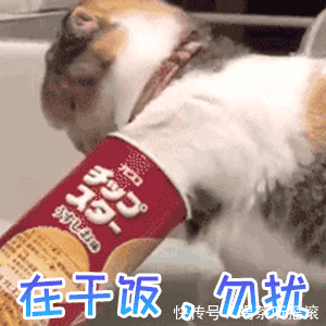 定局|曾几何时,微商的时代已经成了定局。