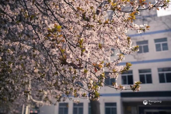 看，西电学子“动”起来了！