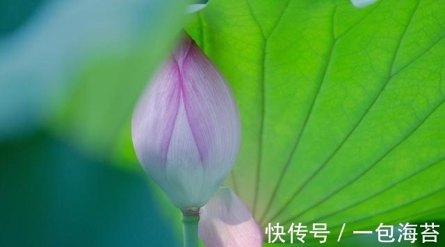 桃花运|11月中旬天赐良缘，桃花运道旺，爱情幸福，喜结连理的四大星座