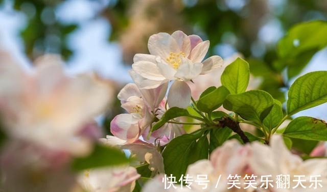 皮肤的秘密$读《皮肤的秘密》一书,分享我们皮肤气味的作用!