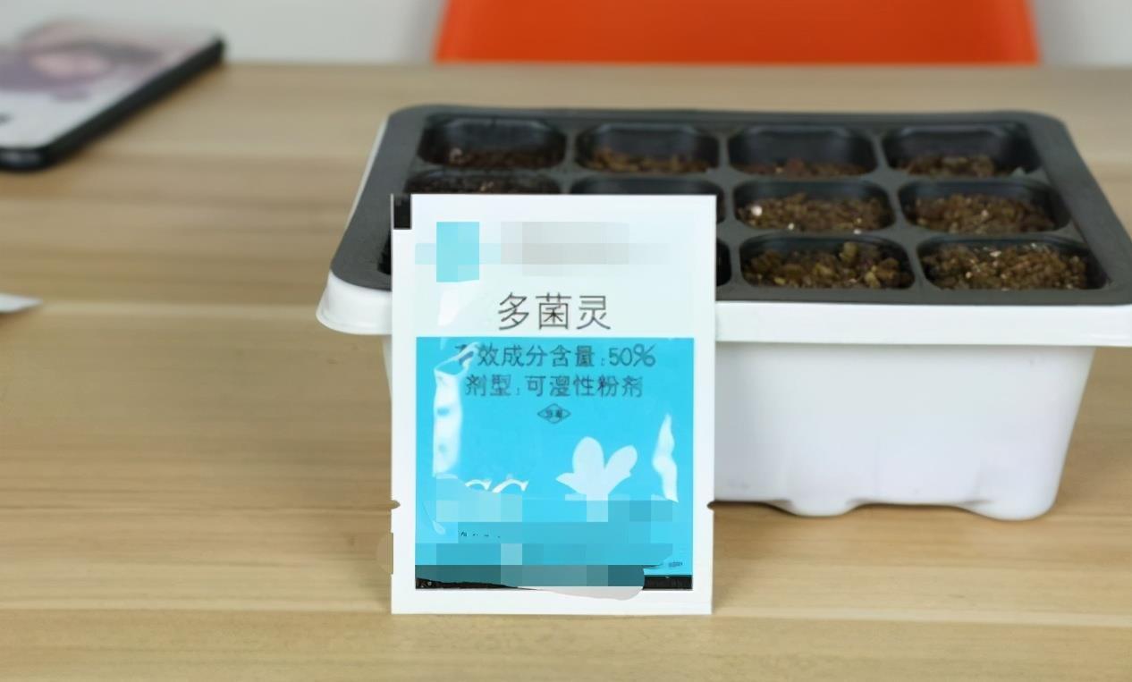 挑战用树桩打造盆景,满足这3要求,个个美如画、增值不少