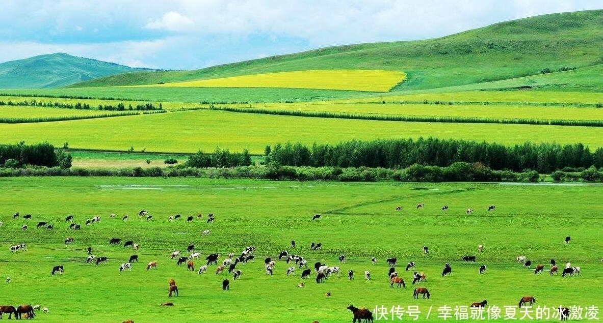 为什么草原上只有草,却看不见树这么多年,可算明白了