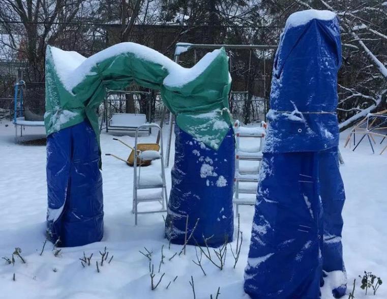 10个偏方,能省不少钱,把花养的又肥又壮