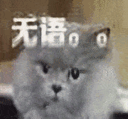 真的一滴都没有了！