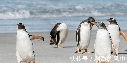 世界之大|8个超奇葩的冷知识, 真是“世界之大, 无奇不有”