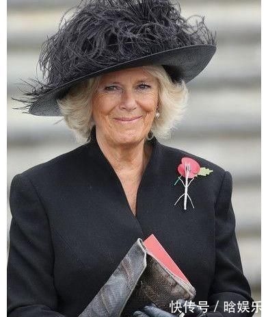 戴安娜王妃 戴对胸针的卡米拉好美,一枚简约的祖母绿胸针,映衬的她优雅大气