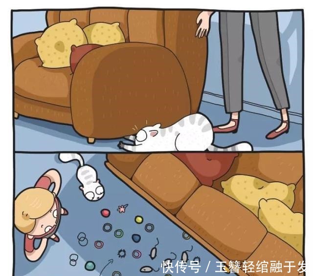 养猫|养猫很有趣吗艺术家用插画描绘出那些,搞笑又暖心的时刻