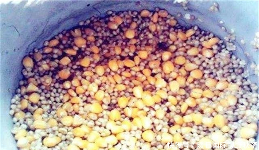 夏季|夏季想钓大鲤鱼,窝料里加点它,诱鱼效果轻松翻倍