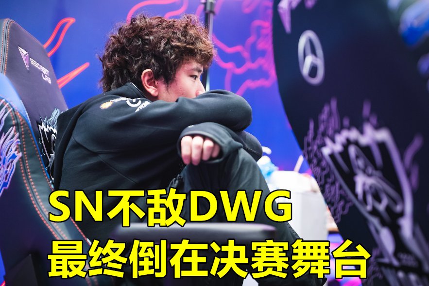 SN|SN选手谈S10落败，焕峰自责Sofm感叹，Bin：拿五杀前我喊出8个字
