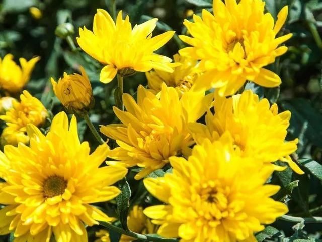 老钱|46岁男子戒烟一年后，查出肺癌，除了吸烟，1件事也是“帮凶”