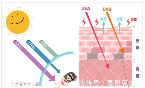 uva 干皮、油皮、敏感肌怎么选防晒霜?四大防晒知识,防晒小白必看!