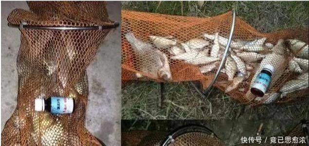 黄颡鱼|别再七想八想,“征服”黄颡鱼就得用这钓法,不料刚一下竿就有口!