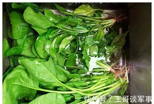食盐|春季,这5种叶酸含量高的蔬菜,记得给孩子多吃,助力成长