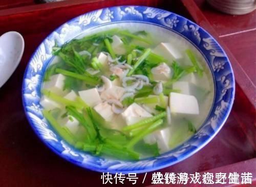 皇帝菜|真正的“补钙汤”找到了，钙质比牛奶还高，简单煮一煮，不懂吃可惜了