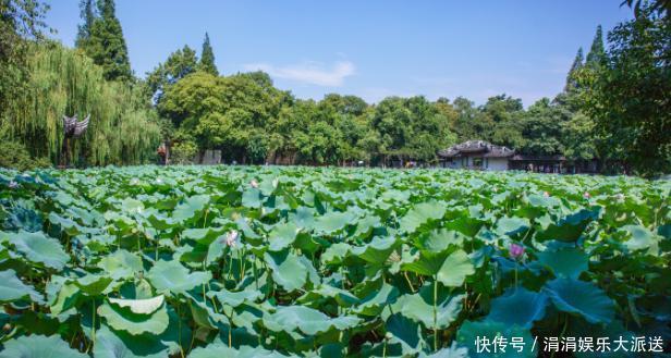 中年|身家60亿的南浔首富,3代人用40年只干一件事,惊艳整个江南