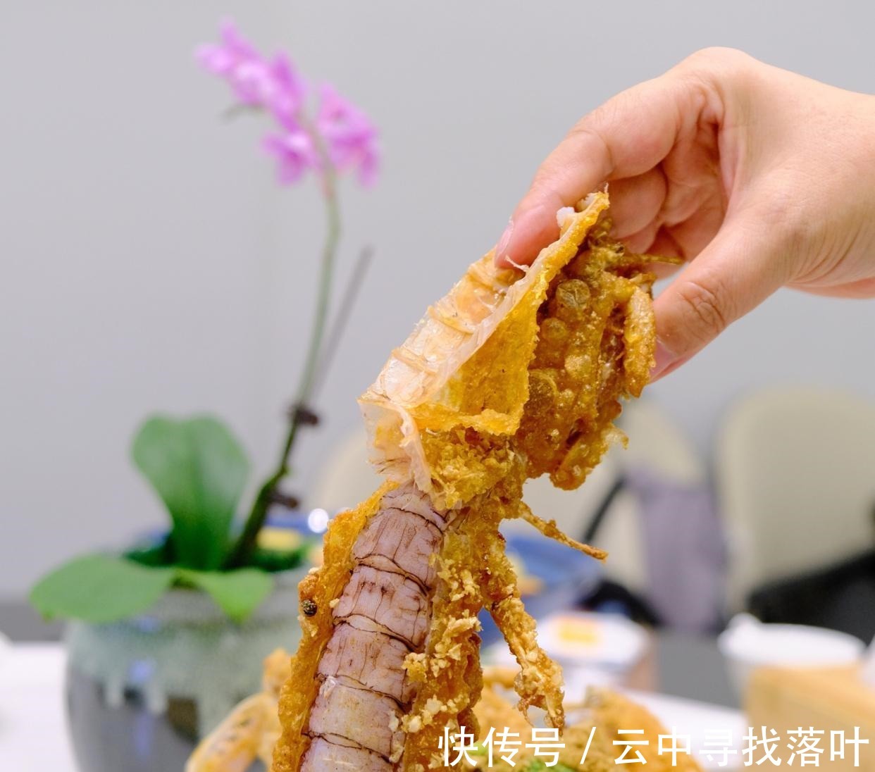 啫啫|在厦门也能吃到捞起、啫啫煲、咸鱼蒸肉饼这些心心念的广州菜了！