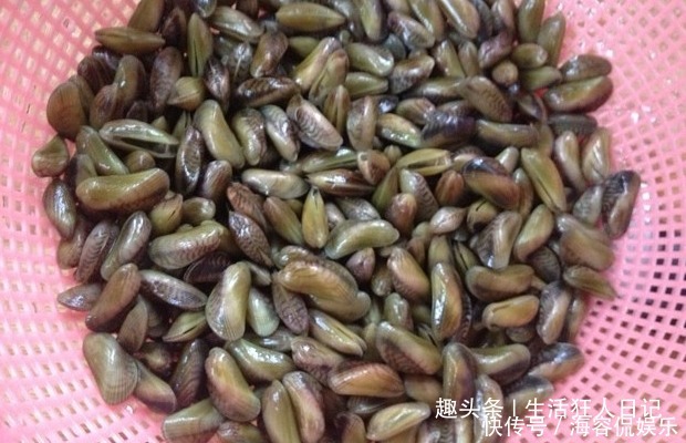 小吃|5斤吃不到1两肉,北方人基本没吃过,南方人却从小吃到大