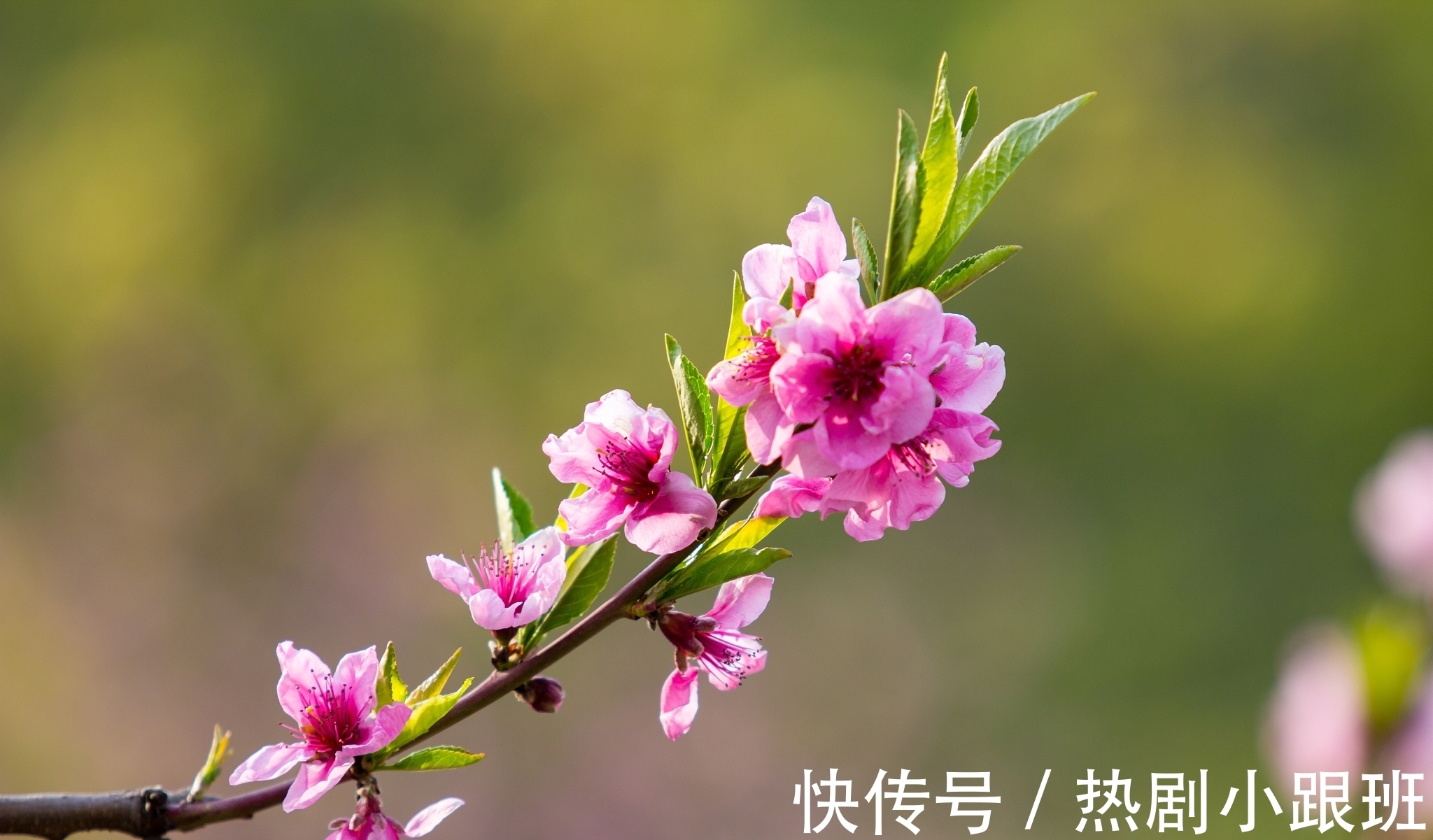 江南客&表达思乡的一首诗,句句感人至深,可惜很多人没有读过