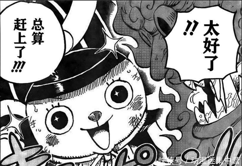 海贼王|海贼王中的5大船医,马尔科战斗力得到肯定,库洛卡斯有心无力