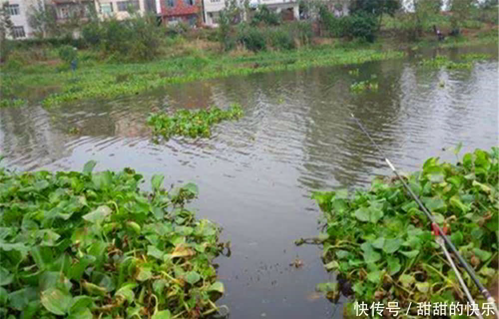 晚春钓鱼找规律,清明过后鱼“藏在”这些位置,遇上了尽量莫错过
