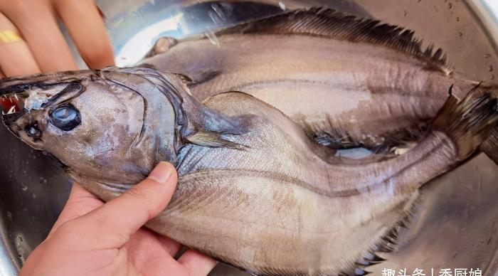鱼肉|比目鱼肉嫩刺少,富含脑黄金,孩子常吃聪明视力好,清蒸最美味