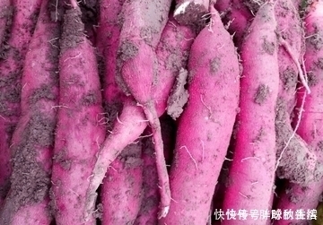 天冷胃不好的人,多吃6样食物,若你能坚持,胃会越来越好