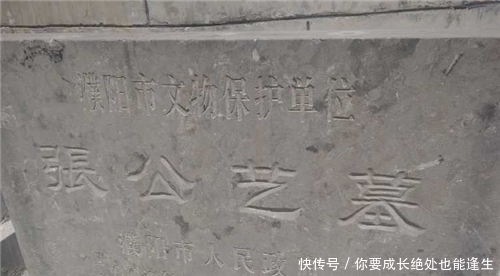 |沙雕动画,搞笑:被鸡啄得下不了床,告诉你什么叫恨之入骨!