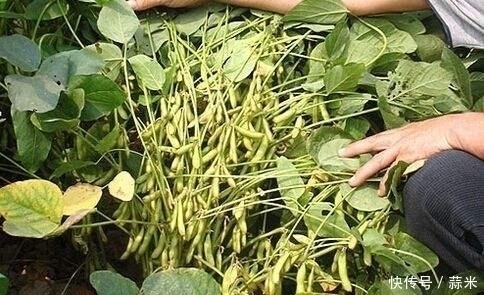 卵巢|天然雌激素找到,女人每天吃一些,保养卵巢,皮肤更有弹性